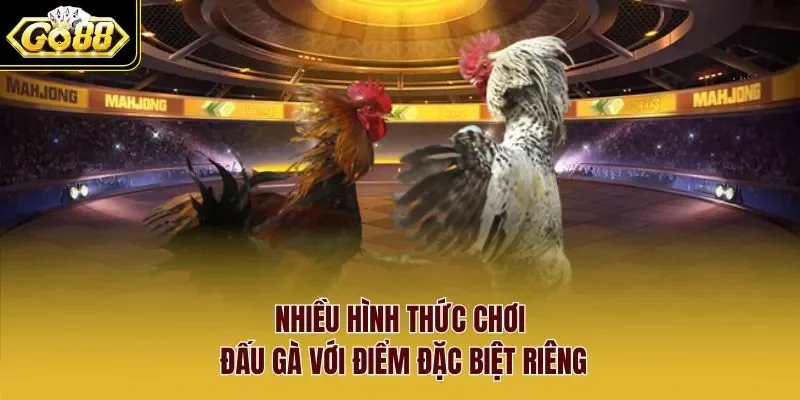 Nhiều hình thức chơi đấu gà với điểm đặc biệt riêng